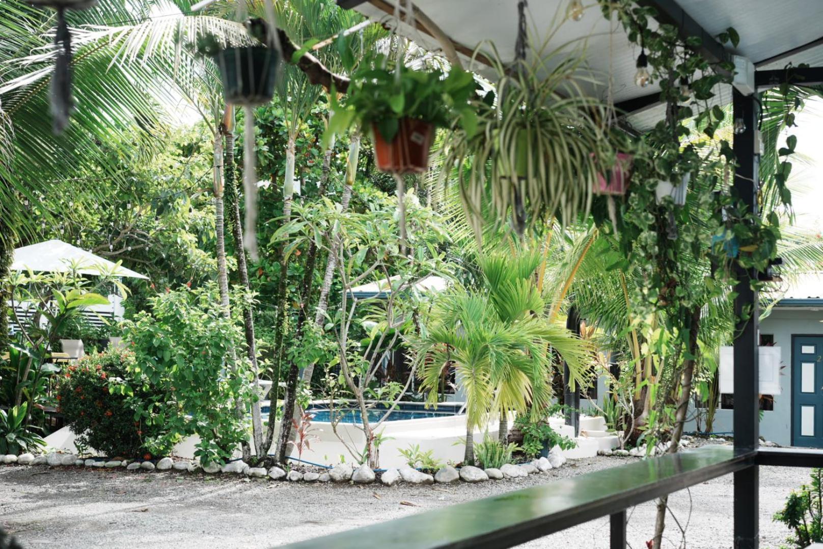 Rooms & Pool Macaws Uvita Exteriér fotografie